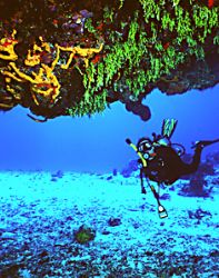 Cheryl Swart checks out an overhang on a wall dive in Coz... by Rick Swart 